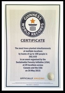 SFI Guinness World Record certificate