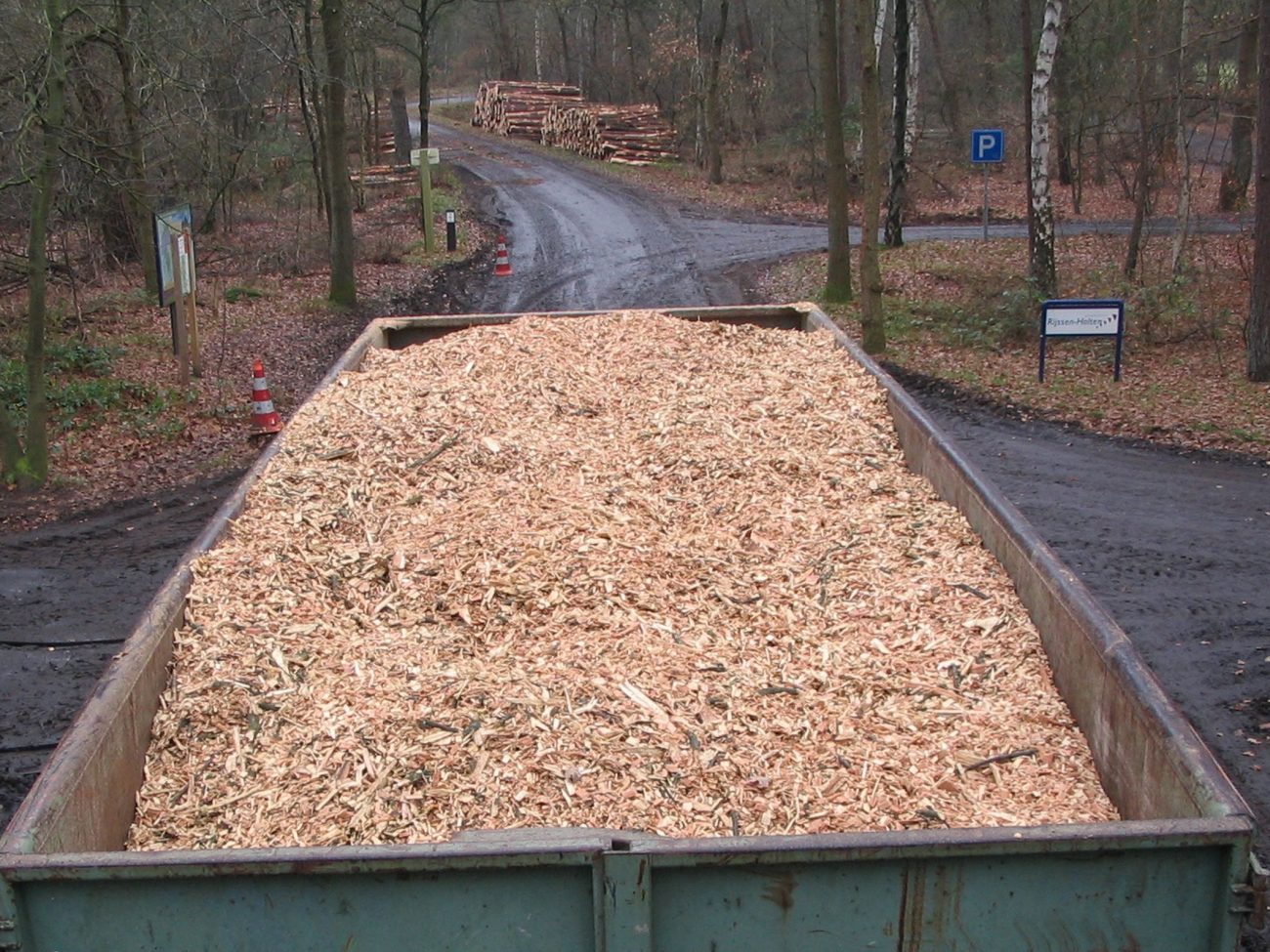 biomassa container pallet bos