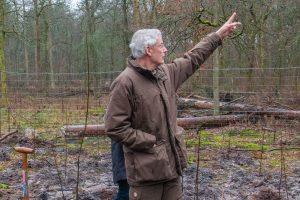 Theoretisch een perfecte boom voor de toekomst